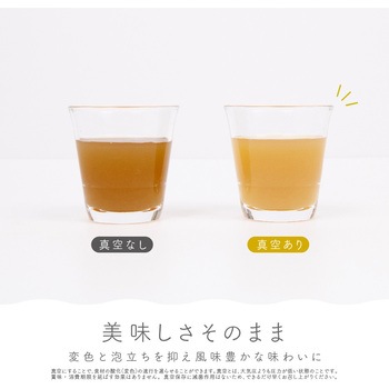 モバイル真空ブレンダー マカフル