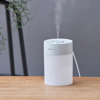 USB給電式加湿器 LEDライト付 ミントグリーン/モカ - ライフオンプロダクツ