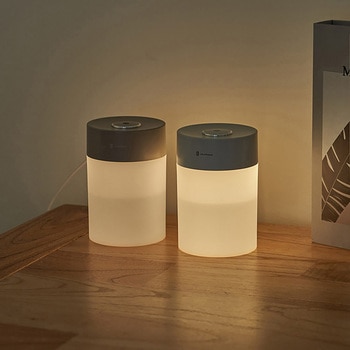 USB給電式加湿器 LEDライト付 ミントグリーン/モカ ライフオンプロダクツ