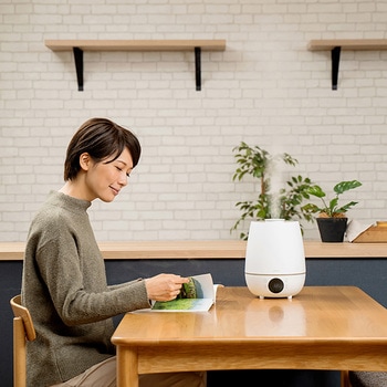 上部給水 超音波式 加湿器 湿度コントロール付 キャメル/ホワイト ライフオンプロダクツ