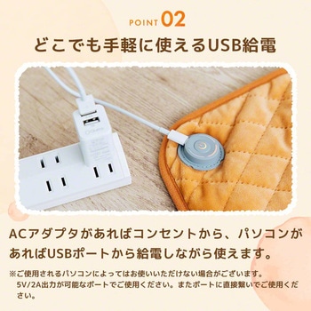 電熱マット すぐぬっくマットミニ スリーアールソリューション