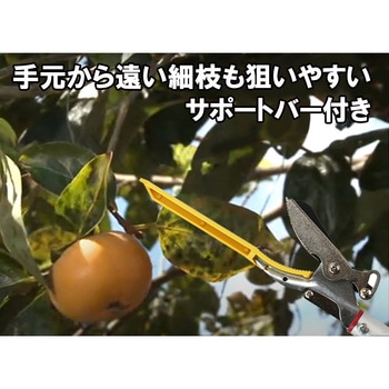 軽量伸縮高枝切鋏 千吉
