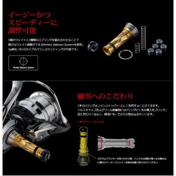 カスタムバランサー Type2 LIVRE(リブレ)