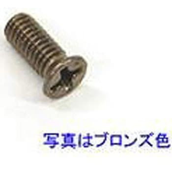 取付ねじ  DFS05010M TOEX(LIXIL)