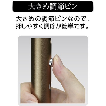 抗菌踏ん張りつえ先ステッキ 太め 折り畳み式 ブラック ストリックスデザイン