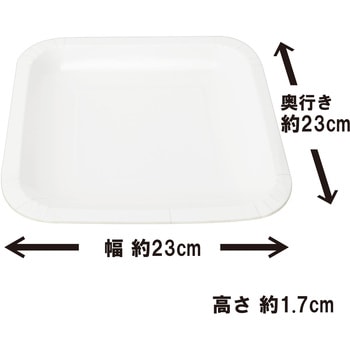 スクエアプレート 23cm 24枚 ストリックスデザイン
