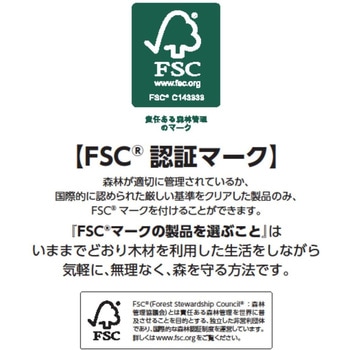 無漂白コーヒーフィルター102 100枚入 ストリックスデザイン