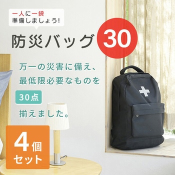防災セット(災害対策30点セット) 防災士監修 防災バッグ YAMAZEN(山善)