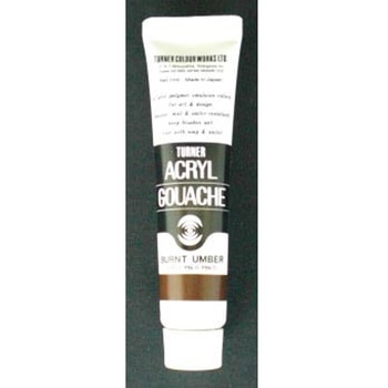 AG11 �o�[���g�A���o�[ �A�N�����K�b�V��A�F 11ml �^�[�i�[�F�� �o�[���g�A���o�[�F  1�{ 64555866