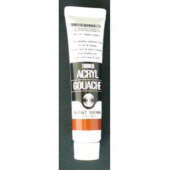 AG11 �o�[���g�V�F�i�[ �A�N�����K�b�V��A�F 11ml �^�[�i�[�F�� �o�[���g�V�F�i�[�F  1�{ 64555875