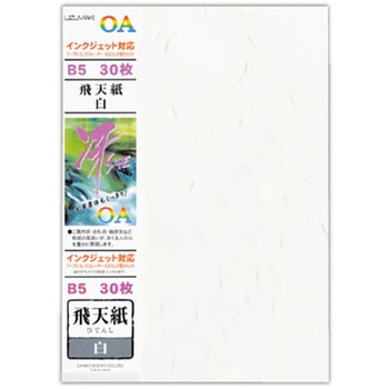 OA和紙 冴 B5 飛天紙 白 菅公工業