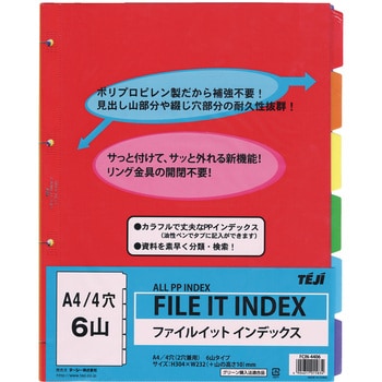 ファイルイット インデックス テージー