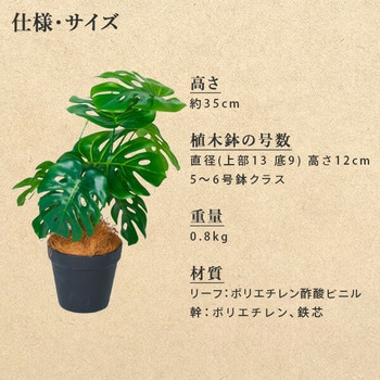 フェイクグリーン モンステラ 高さ35cm YAMAZEN(山善)