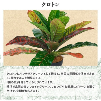 フェイクグリーン クロトン 高さ35cm YAMAZEN(山善)