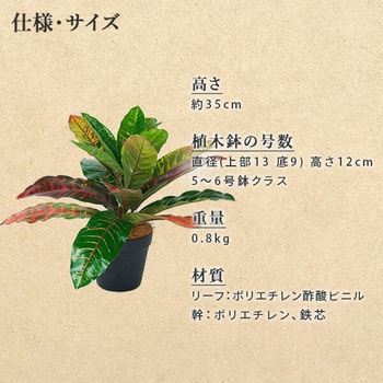 フェイクグリーン クロトン 高さ35cm YAMAZEN(山善)