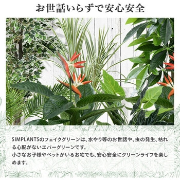 フェイクグリーン モンステラ 高さ35cm YAMAZEN(山善)
