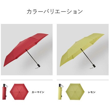 折りたたみ傘 6本骨 55cm ベーシックオートミニR 自動開閉 mabu(マブ)