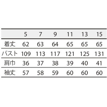 ブラウス レディス 長袖 住商モンブラン