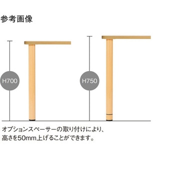 福祉・医療施設テーブル 1800×600×700mm FED-1860Kシリーズ ニシキ工業