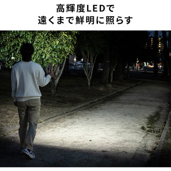 LEDライト 充電式 フック&磁石固定 - サンワダイレクト