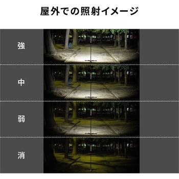 LEDライト 充電式 折りたたみ収納可能 サンワダイレクト