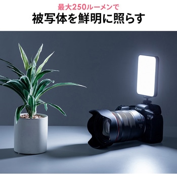 LEDライト スマホ撮影用 アクセサリーシュー対応 サンワダイレクト