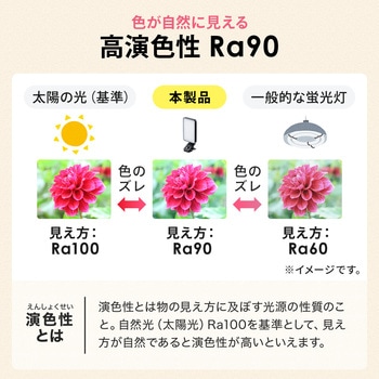 LEDライト スマホ撮影用 アクセサリーシュー対応 サンワダイレクト