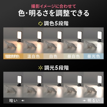 LEDライト スマホ撮影用 アクセサリーシュー対応 サンワダイレクト