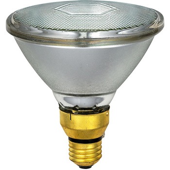 AC110V/ 60W/ 75形 ビームランプ(散光) - エスコ