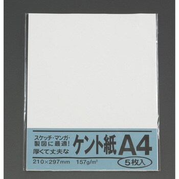 EA762GB-122 B4判 ケント紙(5枚) エスコ 1袋 EA762GB-122 - 【通販