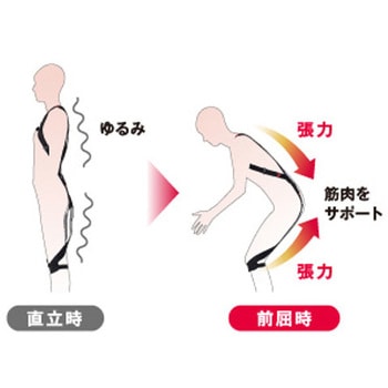 166-175cm 腰部サポートウェア(ラクニエ) エスコ