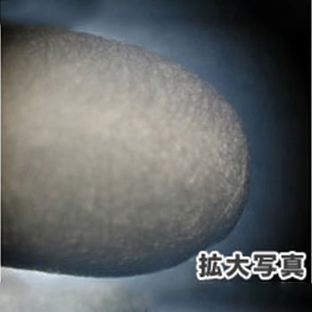 Φ4.4x 77.5mm 工業用綿棒(250本)両面 - エスコ