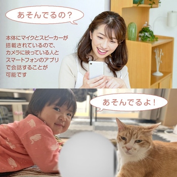 防犯カメラ NEXTEC