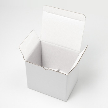 CD10(白) タマパック