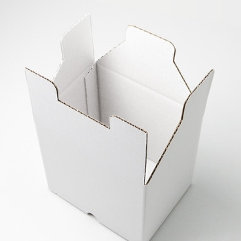 CD10(白) タマパック