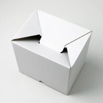 CD10(白) タマパック