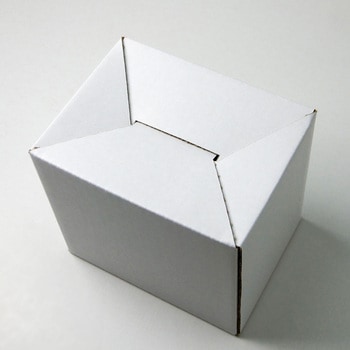 CD10(白) タマパック