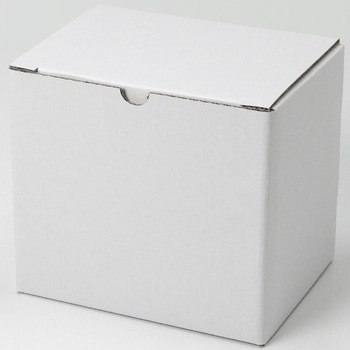 CD10(白) タマパック