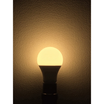 一般電球形LEDランプ 東京メタル