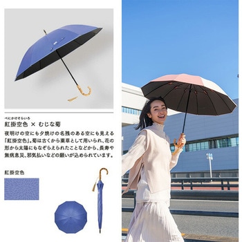 日傘 晴雨兼用傘 レディース 12本骨遮光ショート 江戸 mabu(マブ)