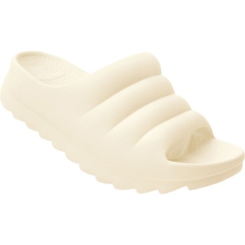 W-CLOUD TELIC