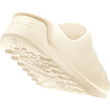 W-CLOUD TELIC