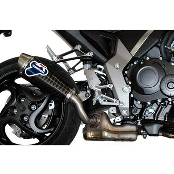 1 サイレンサー STR スリップオン オーバル ステンレス， スリーブ: カーボン Termignoni (テルミニョーニ)