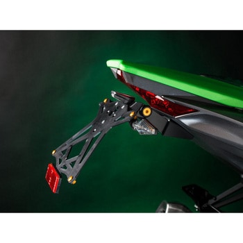 アジャスタブルナンバープレートブラケット レトロリフレクター付 - KAWASAKI Z 650 (17) LIGHTECH (ライテック)