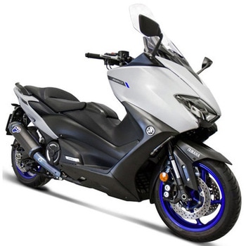Y12609400BCC Complete Racing System Exhaust Carbon Termignoni (e~j[j) 64751175