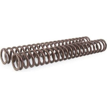 Front suspension springs Triumph (2000-2012) | 08798-90 UnitGarage (ユニットガレージ)