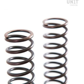 Front suspension springs Triumph (2000-2012) | 08798-90 UnitGarage (ユニットガレージ)