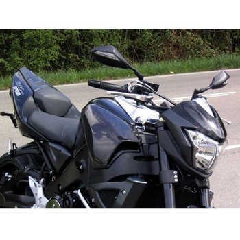 Fuel tank carbon カバー Carbon - BODIS (ボディス)