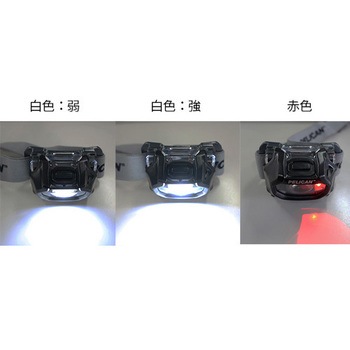 [単4x3本] ヘッドライト/LED(蓄光) エスコ