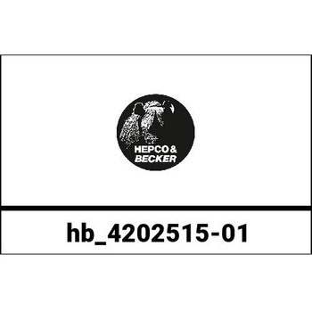 Handhold instead of original rearrack Kawasaki Versys 1000 2012-2014 HEPCO&BECKER (ヘプコ&ベッカー)